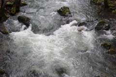 Rogue-River (1)