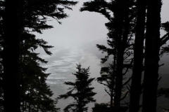 Heceta-Head-011