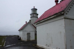 Heceta-Head-045