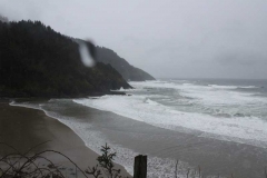 Heceta-Head-047