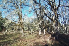 DCIM\100GOPRO